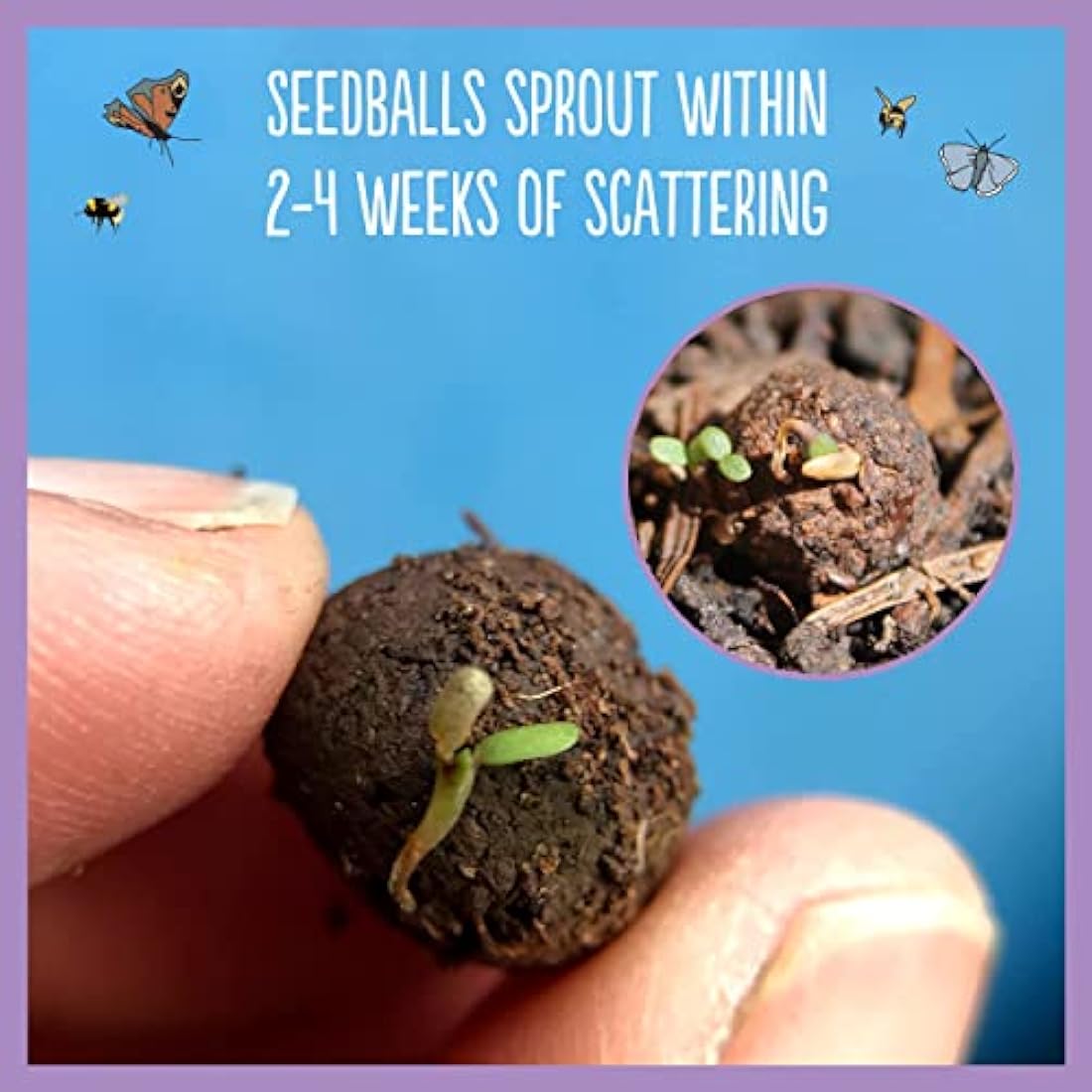 SEEDBALL Butterfly Mix Seed Bombs (Wild Flower Tin) - 20 Seed Balls Per Pack | Eco Friendly British Wildflower Seeds | Clay Protected Seed Bomb for Butterflies – A Mix of Purple, Pink & Blue Flowers