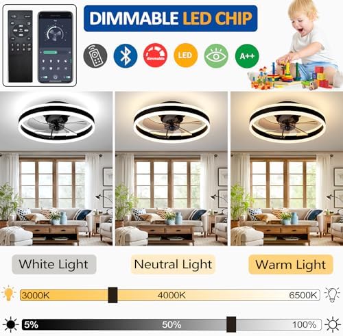 OMGPFR LED Ceiling Fan with Lights, Reversible Remote, 6 Speeds Modern Bedroom Fan Light, Quiet Dimmable Small Ceiling Light for Living Room, Black 50CM