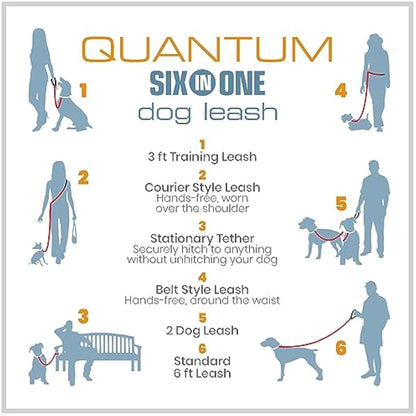 Quantum V2 6-in-1 Dog Leash, Multi-Use Dog Lead for Walking & Running, Adjustable, Hands-Free Option, Violet