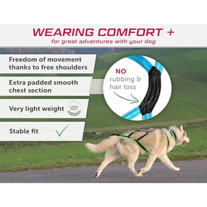 LASALINE XBack Dog Harness - Canicross, Bikejoring, Mushing, Ski Joring, Black & Light Blue