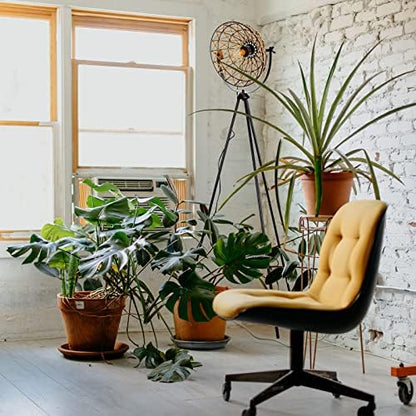 Osasy Geometric Rattan Floor Lamp, Tripod Standing Lamp with Woven Shade, Modern Corner Light for Living Room,E27 Base,Height 169cm