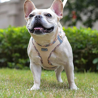 DORAMIO Step-in Dog Harness and Leash Set, Soft Mesh No-Chock Reflective Breathable Easy Walk Lightweight Vest Harnesses with Safety Buckle for Small Dogs, Cats, Puppies (Beige, XL)
