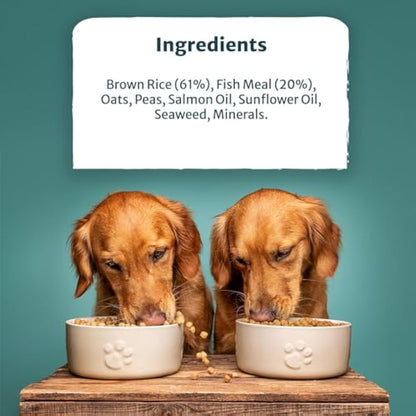 Burns Pet Nutrition Hypoallergenic Complete Dry Dog Food Adult and Senior Dog Original Fish and Brown Rice 12 kg