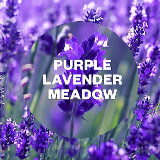 Air Wick |Purple Lavender Meadow |Automatic Air Freshener|Freshmatic Auto Spray Refill | 250ml| Pack of 4