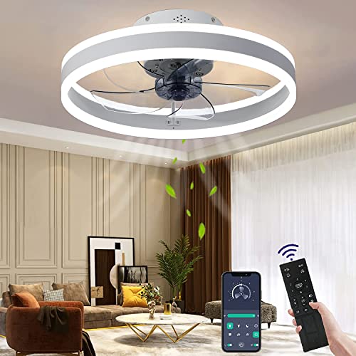 Wildcat Ceiling Fans with Lights, Quiet Modern LED with Remote Control Timer Fan Ceiling Light Fan Light for Living Room Bedroom Dining Room (Colour: