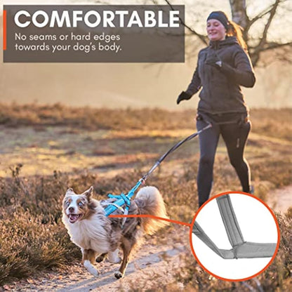 Non-stop dogwear Freemotion harness 5.0 Dog Pulling Harness for Sports like Running, Biking and Skiing with Dogs, Professional Adjustable Dog Harness, Orange/Black, Size 6