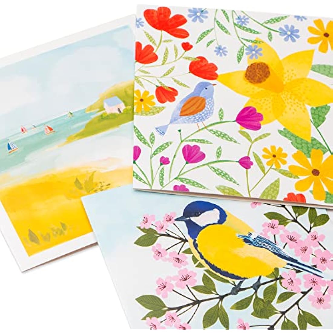 Tall Boy | Everyday Marie Curie Charity Pack Bundle of 36 Greeting Cards Perfect for Birthdays & All Occasions