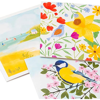 Tall Boy | Everyday Marie Curie Charity Pack Bundle of 36 Greeting Cards Perfect for Birthdays & All Occasions