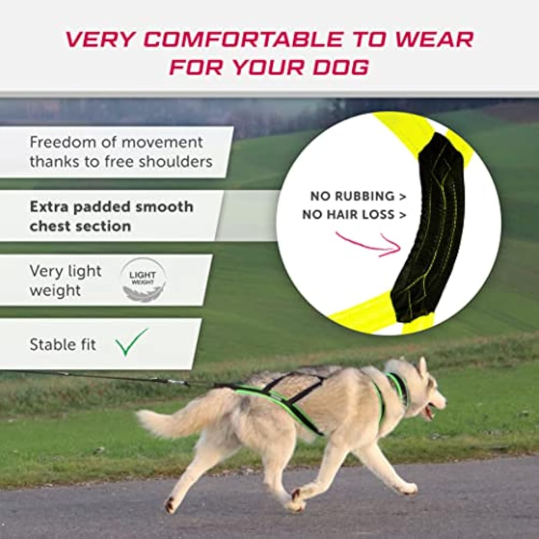 LASALINE X-Back Dog Harness for Canicross Bike, Ski Jöring Scooter Sledge Black Neon Yellow