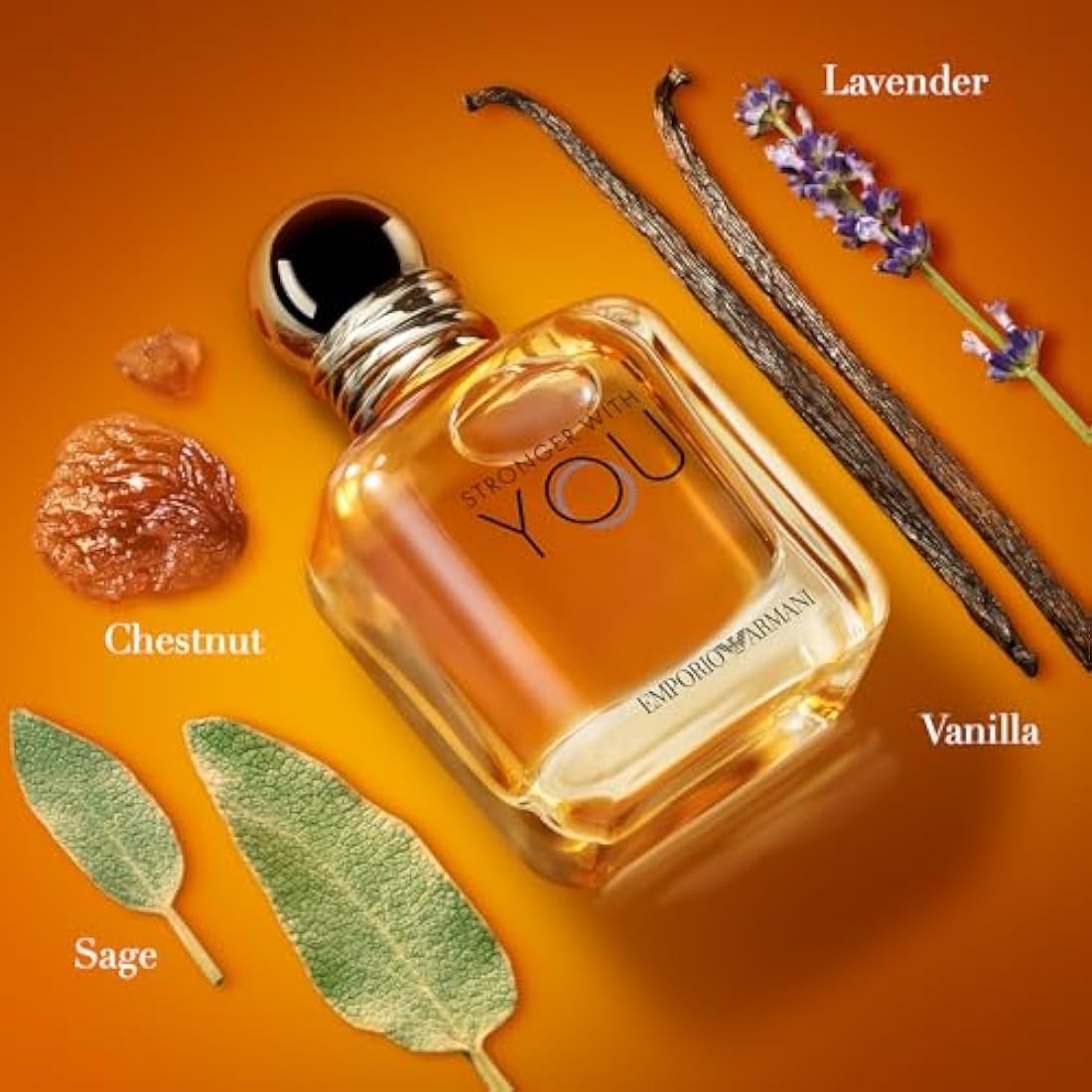 Emporio Armani Stronger With You 50ml Eau de Toilette 1.7 Fl.Oz EDT