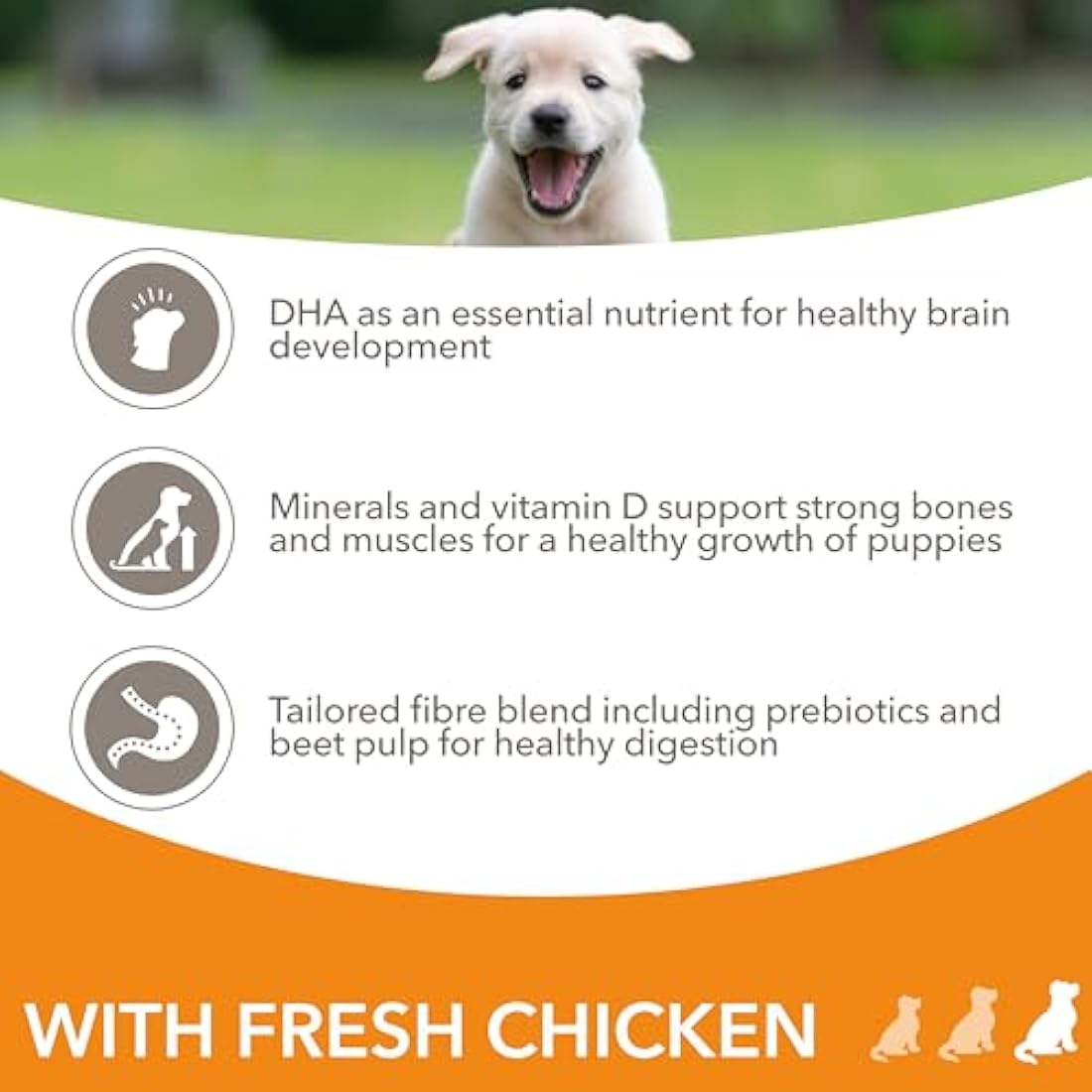 IAMS Puppy Large Dry Dog Food Chicken 12kg