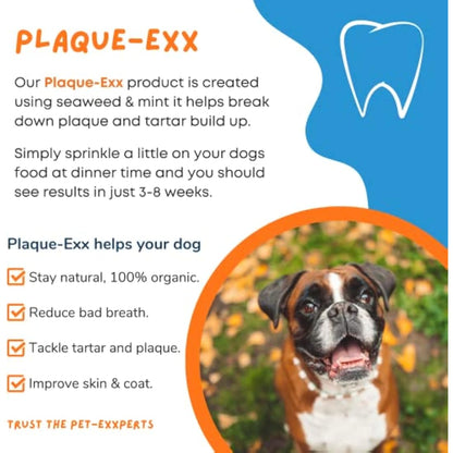 PlaqueExx Plaque and Tartar Remover for Dogs and Cats - Takes Plaque Off Your Pets Teeth PLUS No More Bad Breath - Teeth & Gum Dental Care Formula With Added Mint Powder (100g)