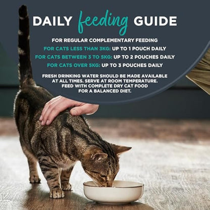 Encore Natural Wet Cat Food, Multipack Tuna with Fish Selection in Jelly 5 x 50g Pouch, Pack of 4 (Packing May Vary)