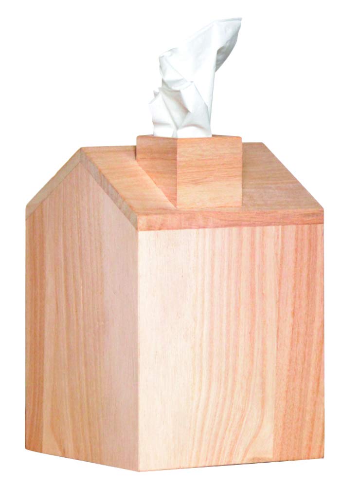 Artemio 13 x 19 x 13 cm Wooden Kleenex Box House, Beige
