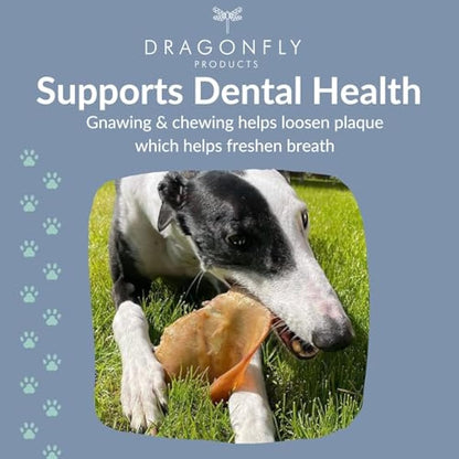 Dragonfly Products Pigs Ears For Dogs | 25 Large Pieces | British Whole Pork Ear Chew | Natural Raw Healthy Treat | Grain Free Long Lasting Snack