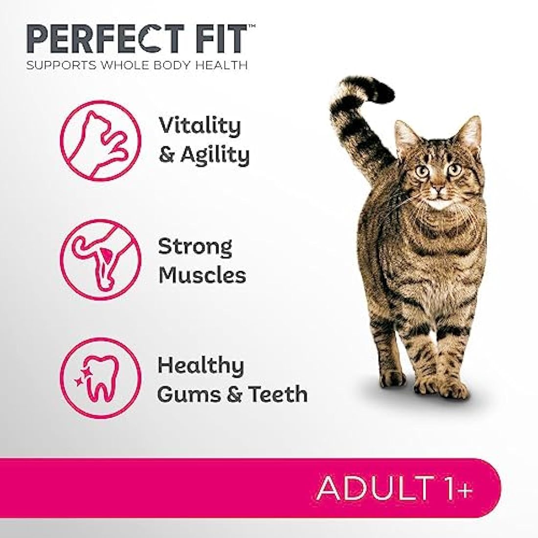 Perfect Fit Adult 1+ Complete Dry Cat Food for Adult Cats Aged 1+ Years, Rich in Salmon, 1 Bag (7 kg)