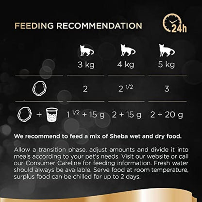 Sheba Classics in Terrine – Ocean Collection – Wet pate trays for adult cats – Pack of 4 (4 x 12 Trays x 85 g)