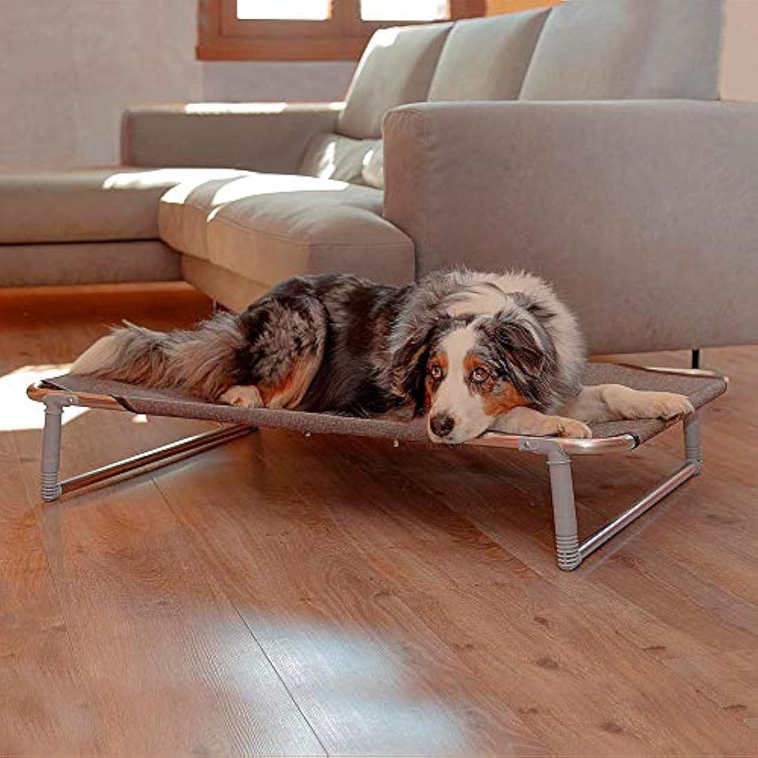 Ferplast Dream 100 Dog Bed, 105 x 63 x 7 cm