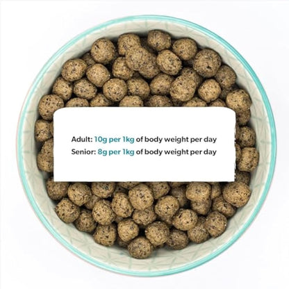 Burns Pet Nutrition Hypoallergenic Complete Dry Dog Food Adult and Senior Dog Grain Free Duck and Potato Grain Free 12 kg