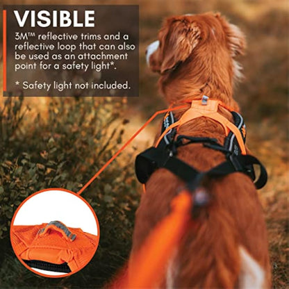 Non-stop dogwear Freemotion harness 5.0 Dog Pulling Harness for Sports like Running, Biking and Skiing with Dogs, Professional Adjustable Dog Harness, Blue/Gray, Size 3