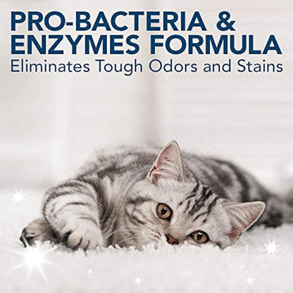OUT! Super Strength Pet Stain and Odour Remover| Enzymatic Pro-Bacteria Cleaner 500 ml