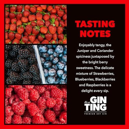 GinTing Berries, Berries, Berries | Flavoured Gin 70cl | London Dry Gin with Delicious Berry and Fruit Gin Twist – Packed with Strawberry, Blueberry, Blackberry & Raspberry Gin Botanicals