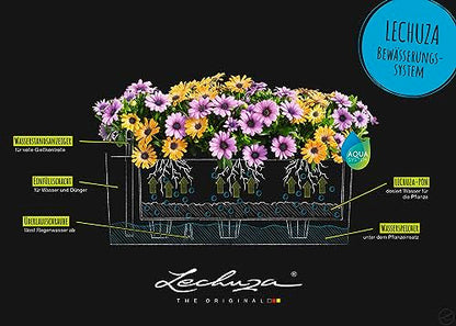 Lechuza BALCONERA Stone 50 Self Watering Planter Plastic Indoor/Outdoor Flower Plant Pot Table and Window Box with Drainage Hole H19 L50 W19 cm Sand