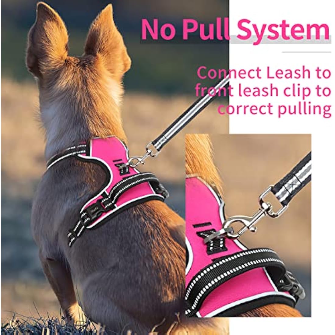 HEELE Dog Harness Dog Harness Small Dog No Pull Harness with Soft Handle Reflective Puppy Harness Adjustable, Rose, XS