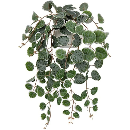 Hollyone Trailing Artificial Plants Decorative Fake Potted Plants, String of Hearts Plants Indoors Outdoors, Faux Trailing Plants Greenery for Home, Wall, Living Room, Bedroom, Office Decor