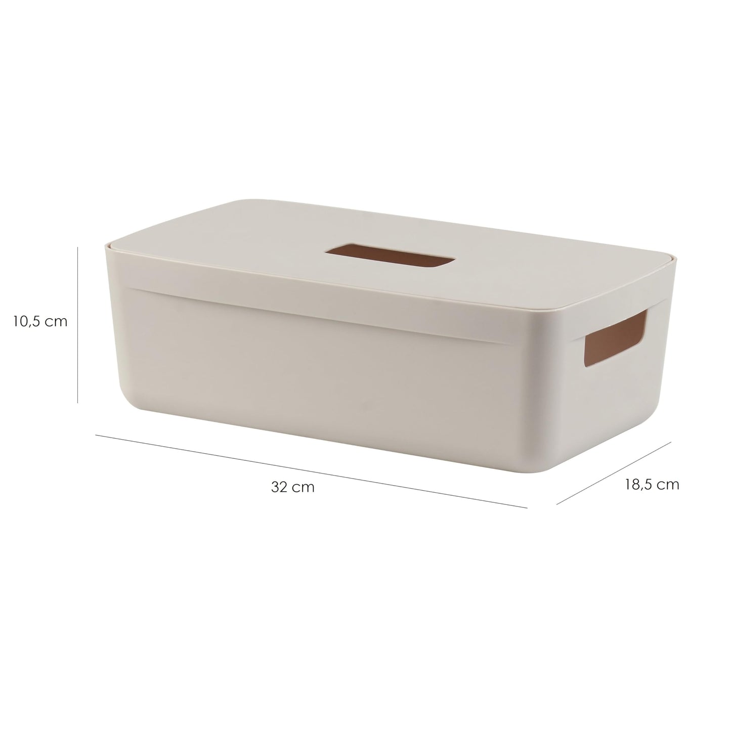 IDEA HOME Plastic Storage Box with Lid - Storage Boxes - Storage Organiser - Really Useful Boxes for Storing Various Items in the Living Room