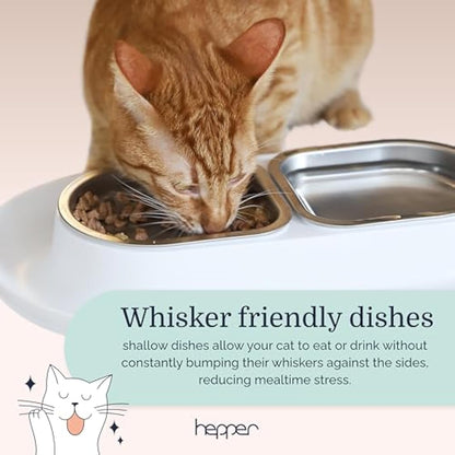 Hepper NomNom - Spill Proof Elevated Cat Bowls for Food and Water - Whisker Relief Cat Bowl + Raised Cat Food Bowls: a Safe Cat Dish for Messy Cats - Stainless Steel Cat Bowl Station