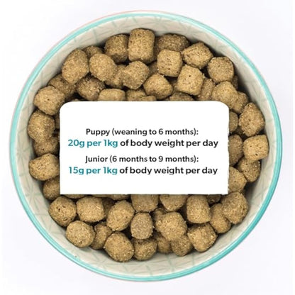 Burns Pet Nutrition Hypoallergenic Complete Dry Dog Food Puppy Original Lamb and Rice 2 kg