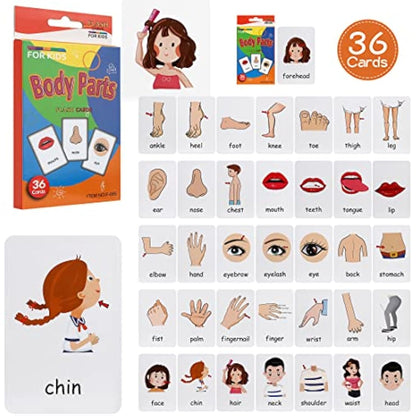 Leyun Kids Flash Cards - Early Learning Set for Toddlers Age 2-4, 4 Pack-144pcs Animals, Fruits, Body Parts & Colors