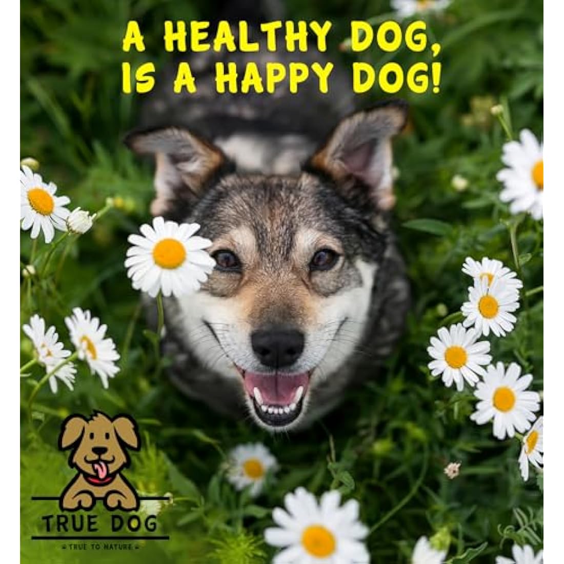 True Dog 100% Pure Scottish Salmon Oil 5ltr | Salmon Oil for Dogs & Cats, Omega 3, 6 & 9, Skin and Coat Health, Joint & Mobility Support