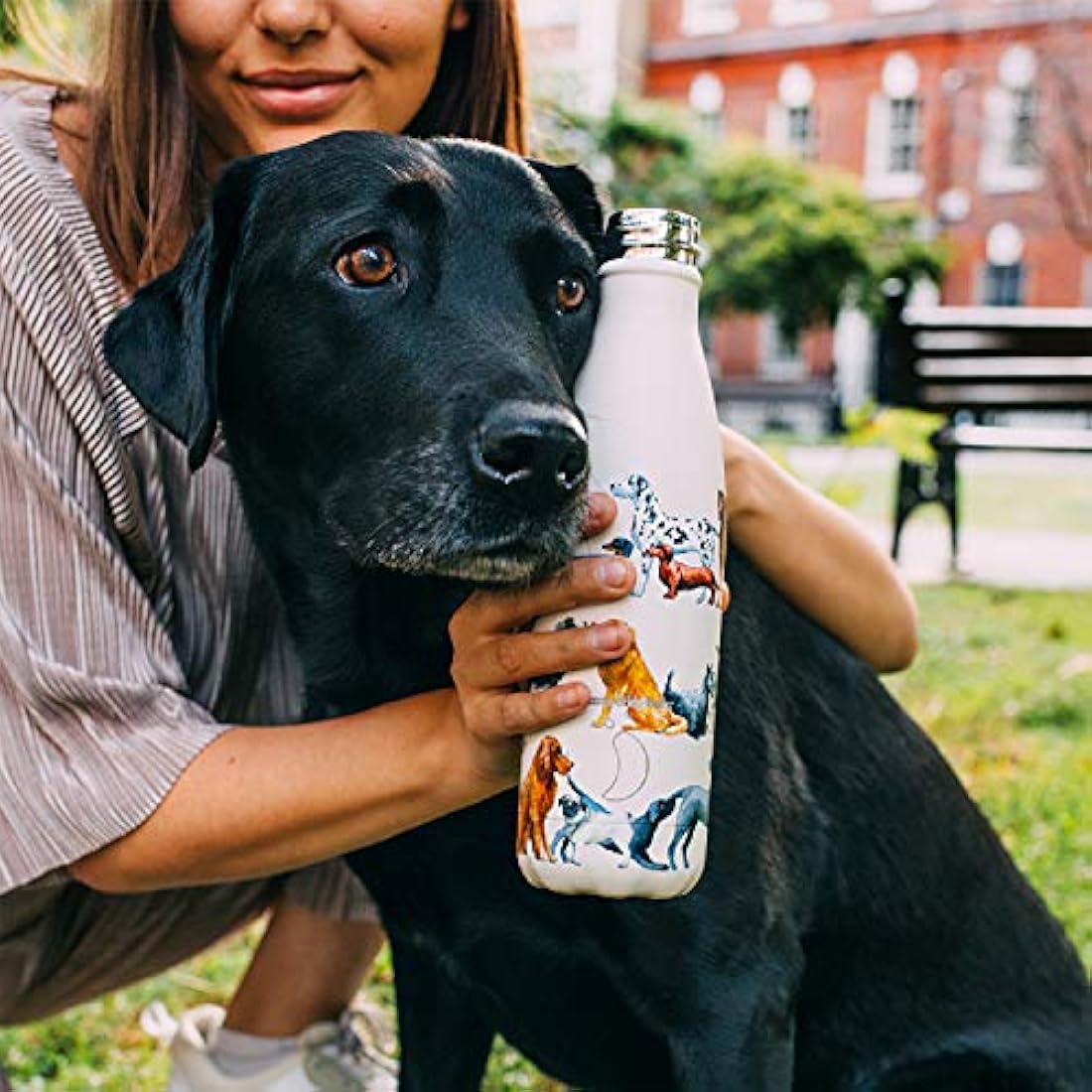 Chilly's Water Bottle - Stainless Steel and Reusable - Leak Proof, Sweat Free - All Black - 260ml