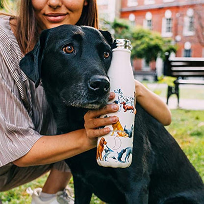 Chilly's Water Bottle - Stainless Steel and Reusable - Leak Proof, Sweat Free - All Black - 260ml