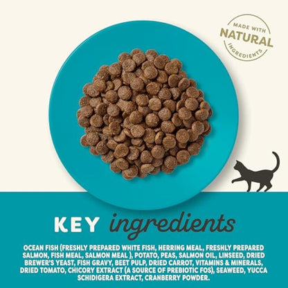 Applaws Complete Natural and Grain Free Dry Adult Cat Food, Ocean Fish with Salmon, 6 kg Bag