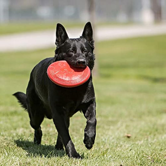 KONG Flyer - Durable Dog Toy for Outdoor Playtime - Natural Rubber Flying Disc for Fetch - For Medium/Large Dogs