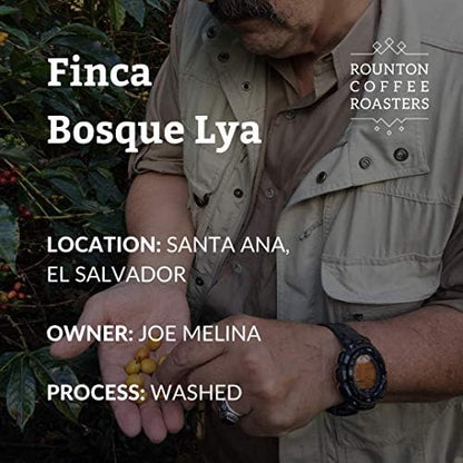 Rounton Coffee Roasters | 1kg El Salvador Bosque Lya | Great Taste Award Winning Coffee 2020 | Smooth Medium Roasted Coffee Beans | 100% Arabica Espresso Coffee Beans