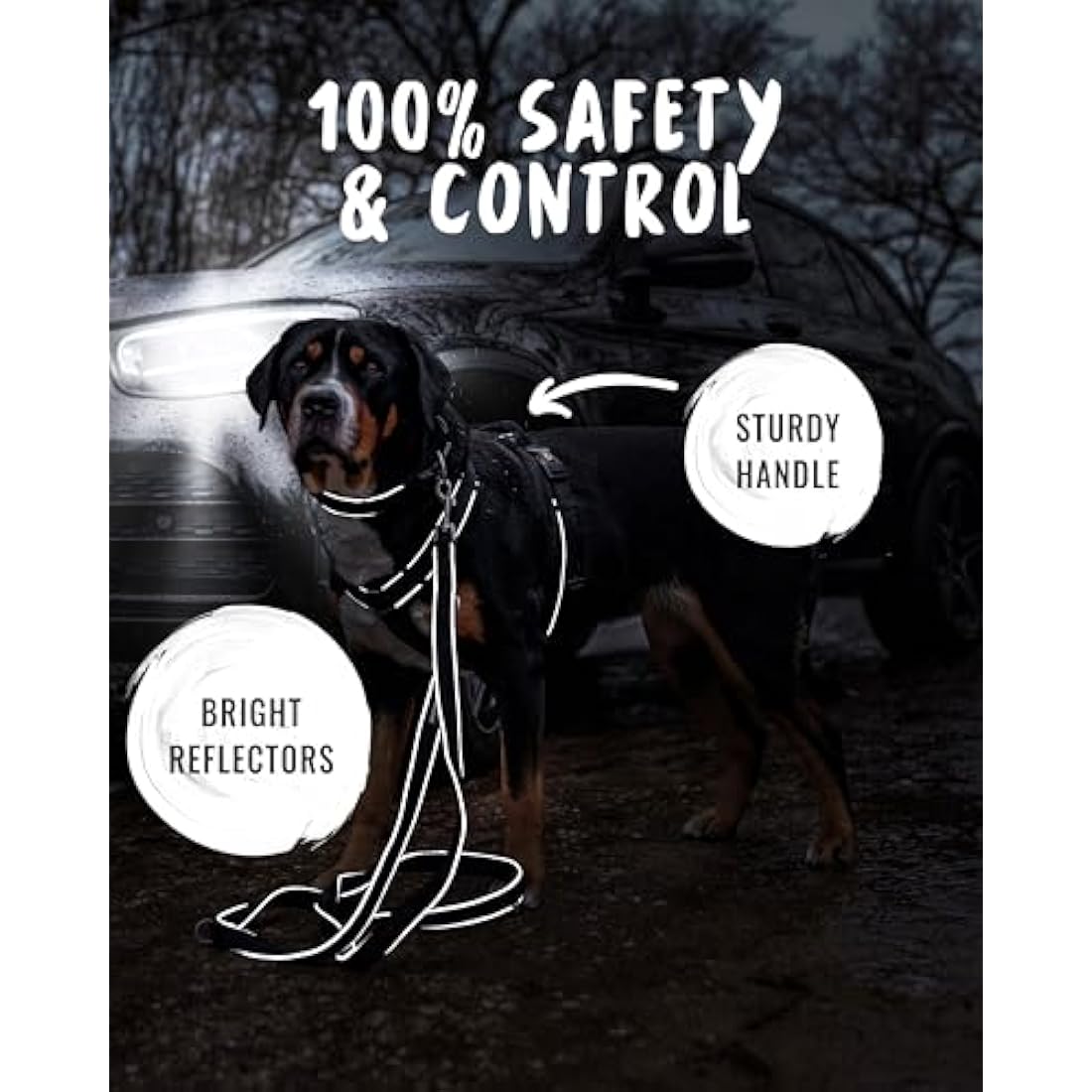 Rudelkönig dog harness Paola - Reflective Chest Harness with Handle - Adjustable no pull harness for dogs - For small and medium dogs