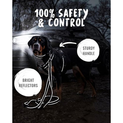 Rudelkönig dog harness Paola - Reflective Chest Harness with Handle - Adjustable no pull harness for dogs - For small and medium dogs