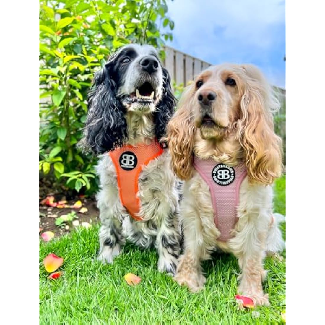 BullyBillows Active Light Dog Harness With Handle - Premium Padded Lining & Reflective - Grey Small