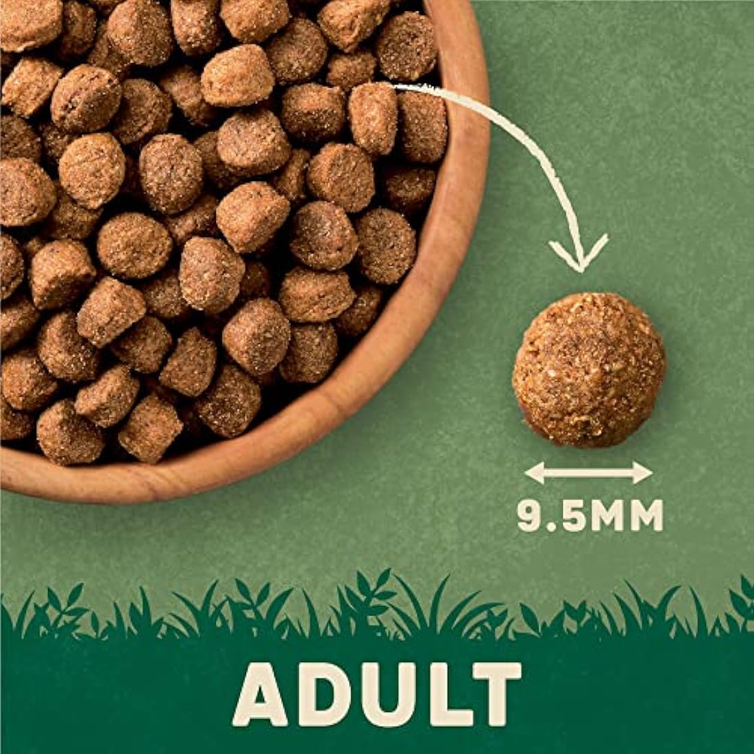 Harringtons Complete Dry Adult Dog Food Salmon & Potato 12kg - Made with All Natural Ingredients