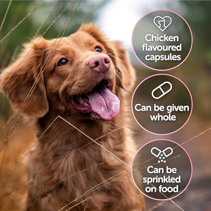 Protexin Veterinary CystoPro Capsules for Dogs and Cats, Bladder Health and Immune System Support, Meat-Free Chicken Flavour, 120 Capsules