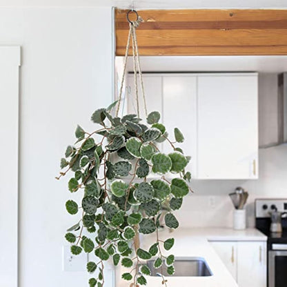 Hollyone Trailing Artificial Plants Decorative Fake Potted Plants, String of Hearts Plants Indoors Outdoors, Faux Trailing Plants Greenery for Home, Wall, Living Room, Bedroom, Office Decor