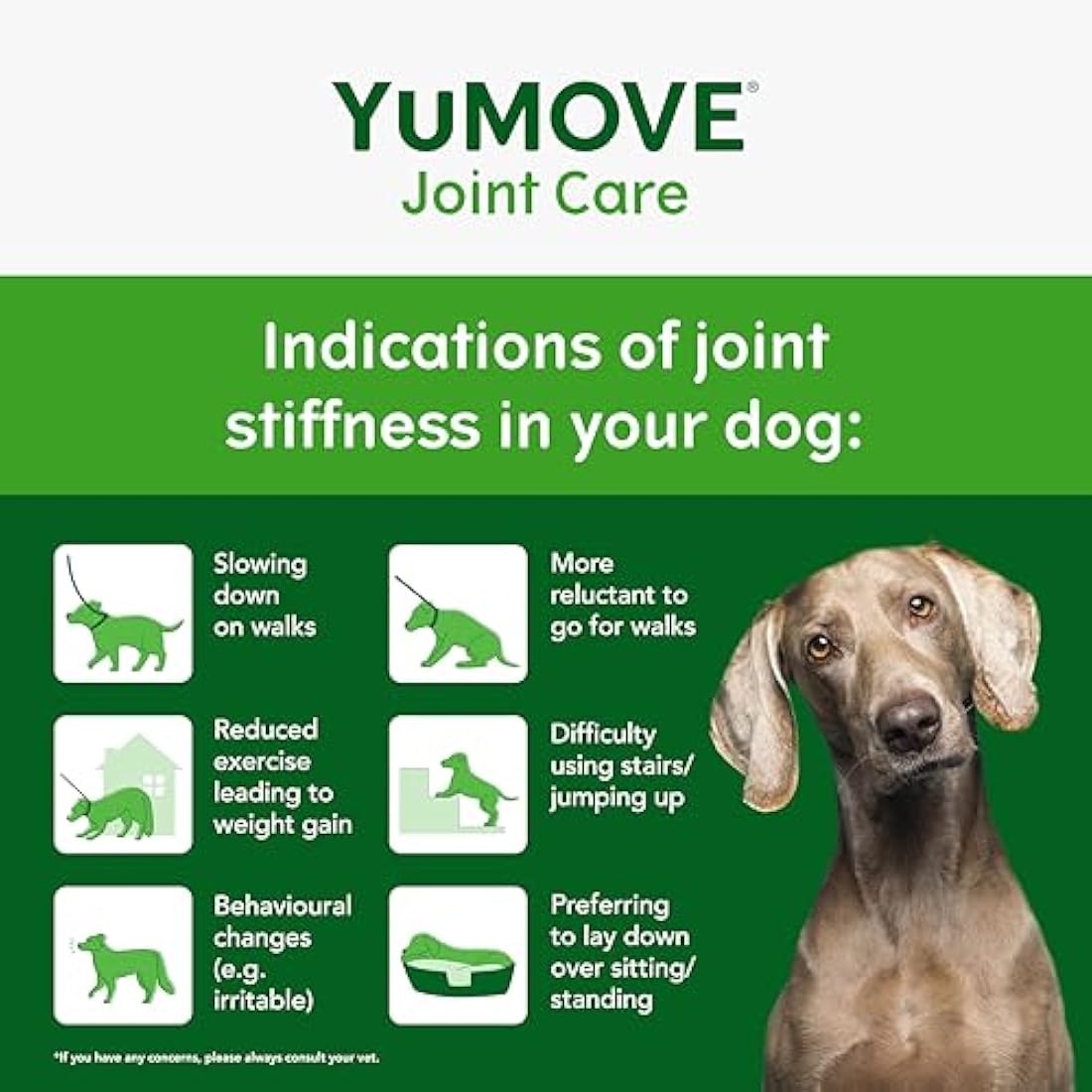 YuMOVE Joint Supplement for Dogs, ONE-A-DAY for Joint Care, Essential Dog Hip and Joint Aid for Stiff Medium Dogs with Glucosamine, Chondroitin, Green Lipped Mussel, 30 Chews - 1 Month supply