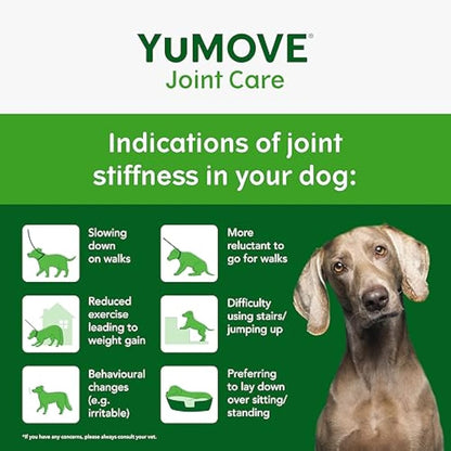 YuMOVE Joint Supplement for Dogs, ONE-A-DAY for Joint Care, Essential Dog Hip and Joint Aid for Stiff Medium Dogs with Glucosamine, Chondroitin, Green Lipped Mussel, 30 Chews - 1 Month supply