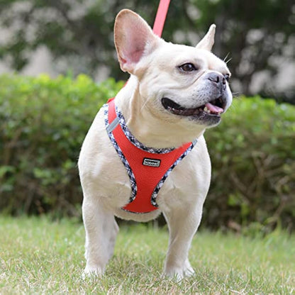 DORAMIO Step-in Dog Harness and Leash Set, Soft Mesh No-Chock Reflective Breathable Easy Walk Lightweight Vest Harnesses with Safety Buckle for Small Dogs, Cats, Puppies (Red, XL)
