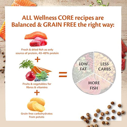 Wellness CORE Sterilised Ocean, 300g, Salmon, Dry Cat Food for Sterilised / Indoor Cats, Grain-Free, High Fish Content, Protein-Rich, Supports Healthy Skin & Shiny Coat