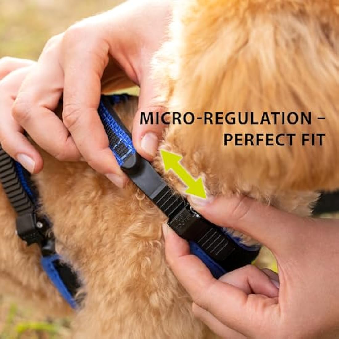 Ferplast Large Size Dog Harness ERGOCOMFORT LARGE, Adjustable Dog Harness, Comfortable, Padded, Double Micro-adjustment Closure, Quick Release, Blue